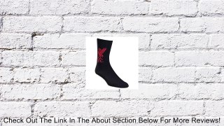 Liverpool Crest Sock - One Pack Review