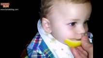 Bebeklerin ilk kez limon ile buluşması