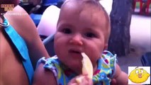 Bebeklerin ilk kez limon ile buluşması-2