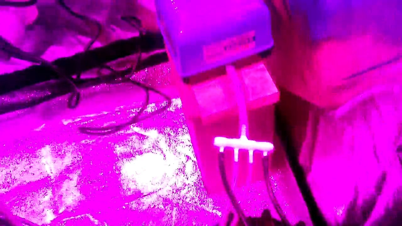 Pump Fail ?