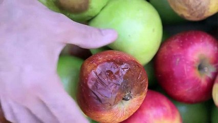 Via llibre - capítol 120