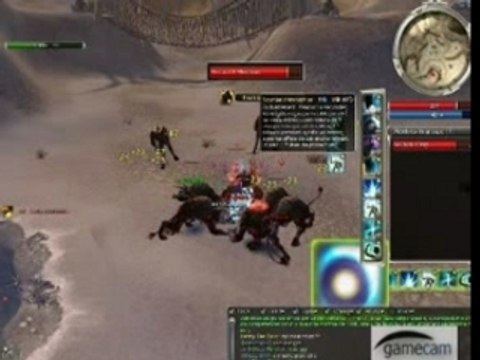 Guild wars Farm Moine 446 HP