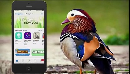 طريقة شحن iTunes Cards في حساب اب ستور