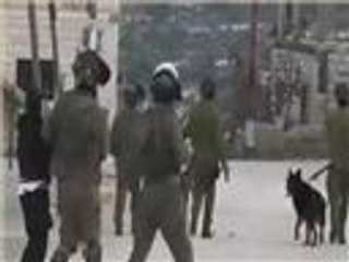 الاحتلال يصعّد عمليات اعتقال الأطفال الفلسطينيين