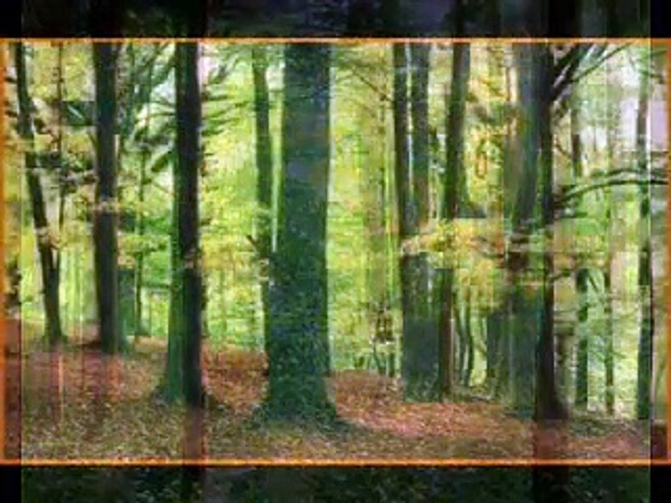 Enya 'The Memory Of The Trees'_00