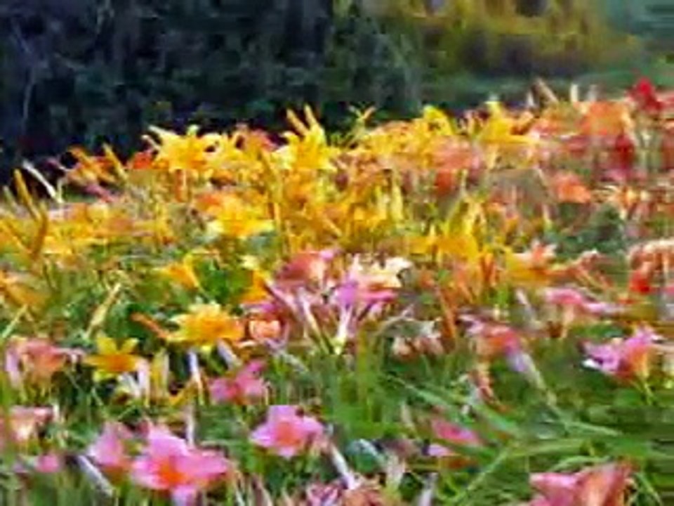 Enya   Only Time_00