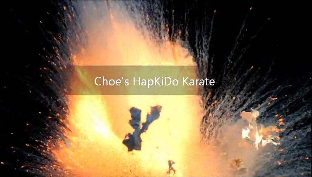 Martial Arts Dojo Lawrenceville Georgia