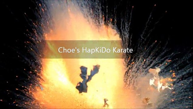 Martial Arts Dojo Lawrenceville Georgia