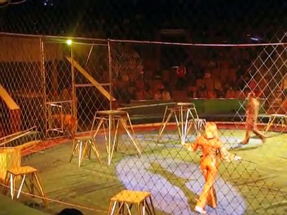 Horrible incident Live in Circus