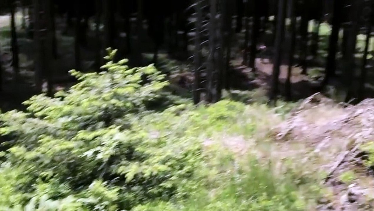 Behind the scenes_ _Vegan Clip_