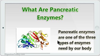 Pancreatic Enzymes