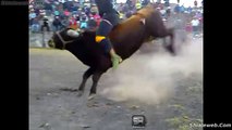 Jaripeo Extremo En San Isidro Ganaderias Unidas De Cuto Michoacan Mexico Valientes Jinetes Montan Toros Salvajes 2015