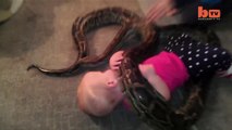 Baby Plays With ‘Beloved’ Pet Python