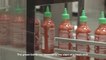 Inside the factory that makes Sriracha :Process Sriracha's Famous Rooster Sauce