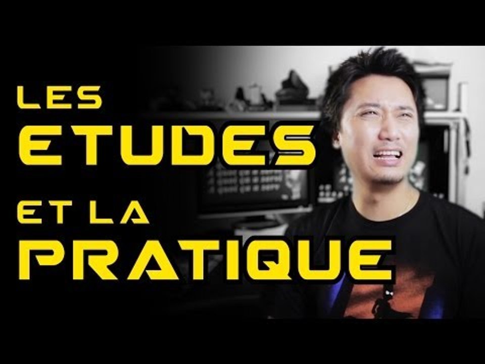 LES ETUDES ET LA PRATIQUE - Brice