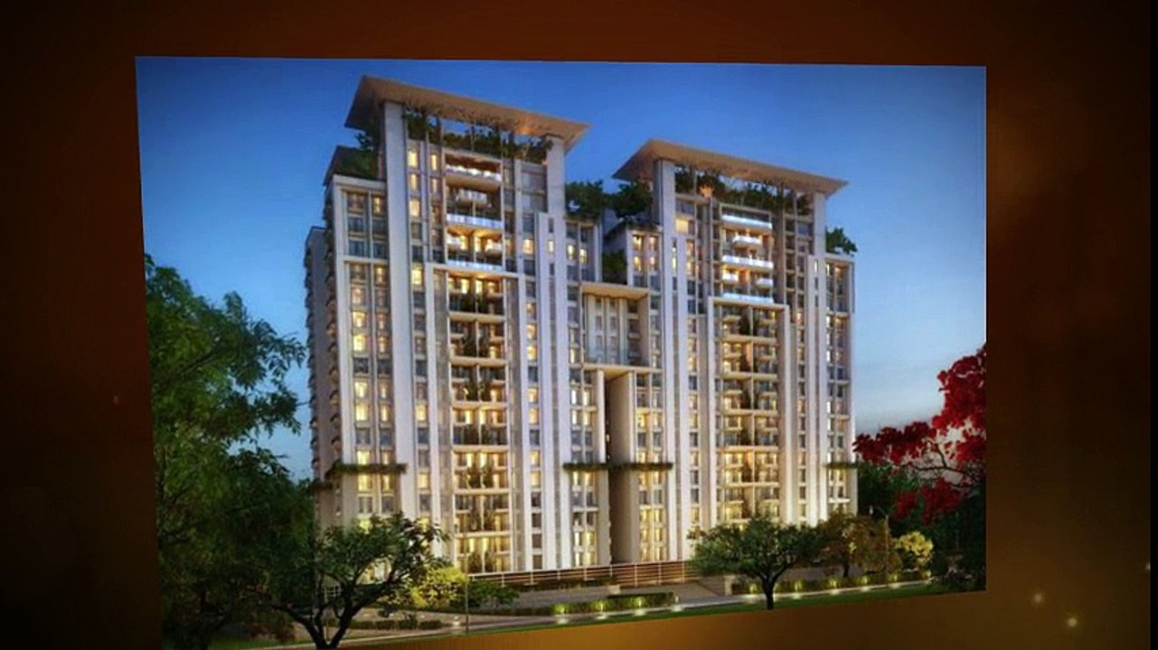 Luxury Condos