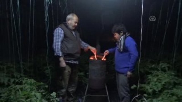 Seralarda Zirai Don Nöbeti