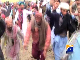 Camel Fight Rajanpur-08 Jan 2015
