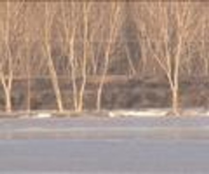 Soğuktan tarlalar bile dondu