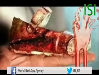 Must Watch This-اس ویڈیو کو شئیر کرنا ہر گز نہ بھولیں