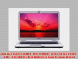 Sony VAIO NS30E/S Laptop - Intel Pentium T4200 3 Gb 250 Gb DVD -RW/ -R DL/RAM 15.4 inch WXGA