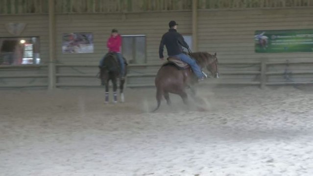 ÉQUITATION : Le reining, une discipline aux accents du Far West