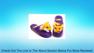NCAA Mascot Slippers Review