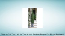 Design Toscano Design Toscano The Topiary Tree Collection - Medium Cone Review