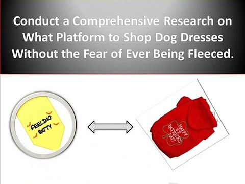 Tips for Getting Comfortable and Well Designed Dog Dresses