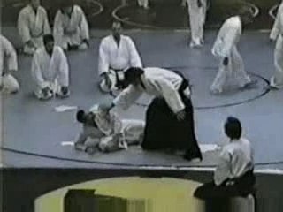STEVEN SEAGAL AIKIDO PHILOSOPHY