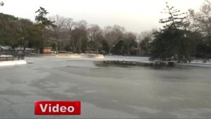 İstanbul'da Göletler Buz Tuttu