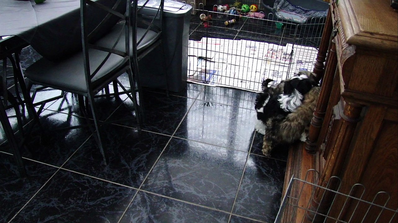 LES DERNIERS BB DE BISOU ET DE FALBALA