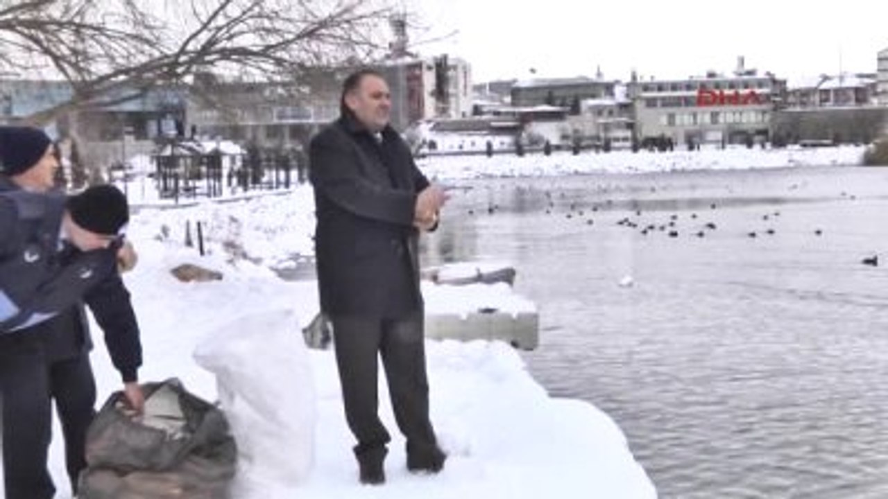 Ankara Gölbaşı Aç Kalan Mogan Kuşlarına Ekmek Kampanyası