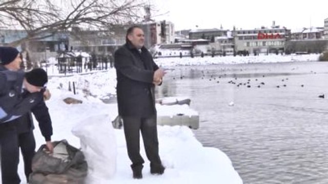 Ankara Gölbaşı Aç Kalan Mogan Kuşlarına Ekmek Kampanyası