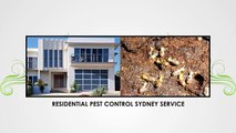 Residential Pest Control Services in Sydney