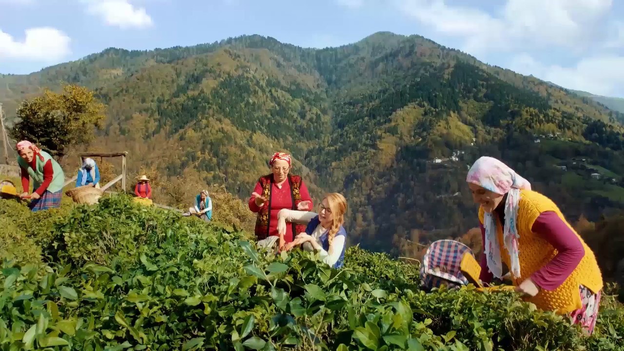 Lipton - Çay yapmak kolay mı?