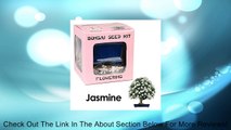 Eve's Jasmine Bonsai Seed Kit, Flowering, Complete Kit to Grow Jasmine Bonsai from Seed Review