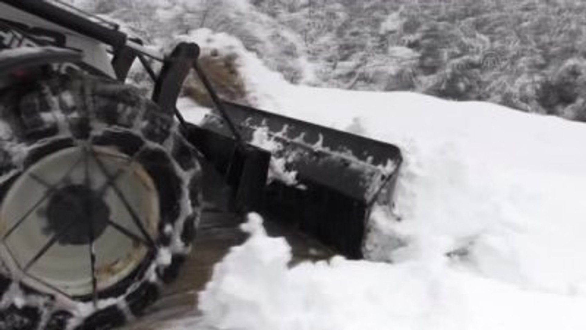 Yaban Hayatına Yem Desteği