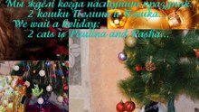 We meet New Year!МЫ ВСТРЕЧАЕМ НОВЫЙ ГОД