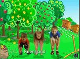 English Nursery Rhymes Children Songs - Head, shoulders, knees and toes - Animation Rhymes