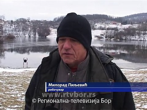 Zaleđeno samo priobalje Borskog jezera, 08. januar 2015. (RTV Bor)