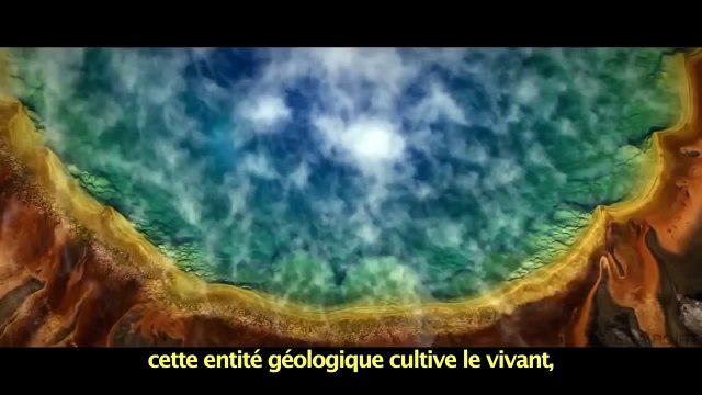 ALAN WATTS - Le Sentiment d'Unité