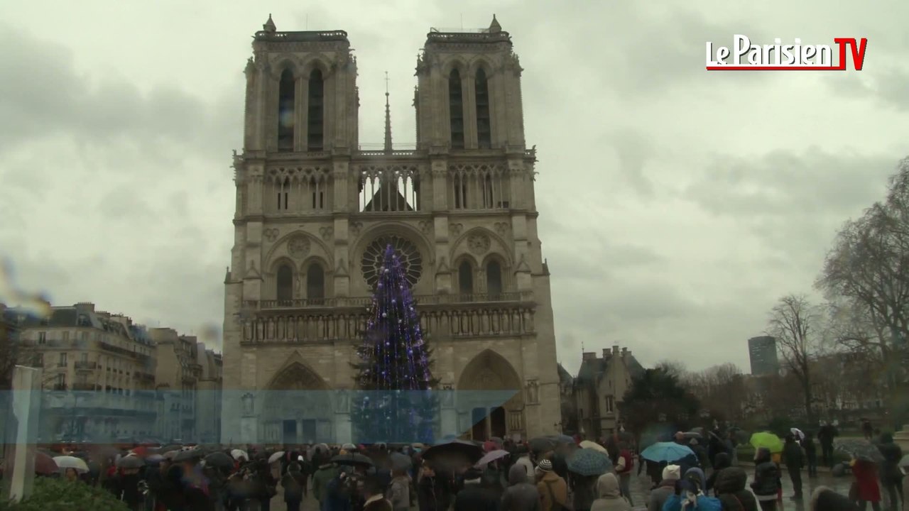 Cathédrale Notre-Dame de Paris : le glas sonne pour Charlie
