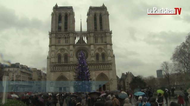 Cathédrale Notre-Dame de Paris : le glas sonne pour Charlie