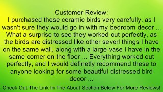 IMAX Elisia Ceramic Birds Wall Decor, Set of 3 Review