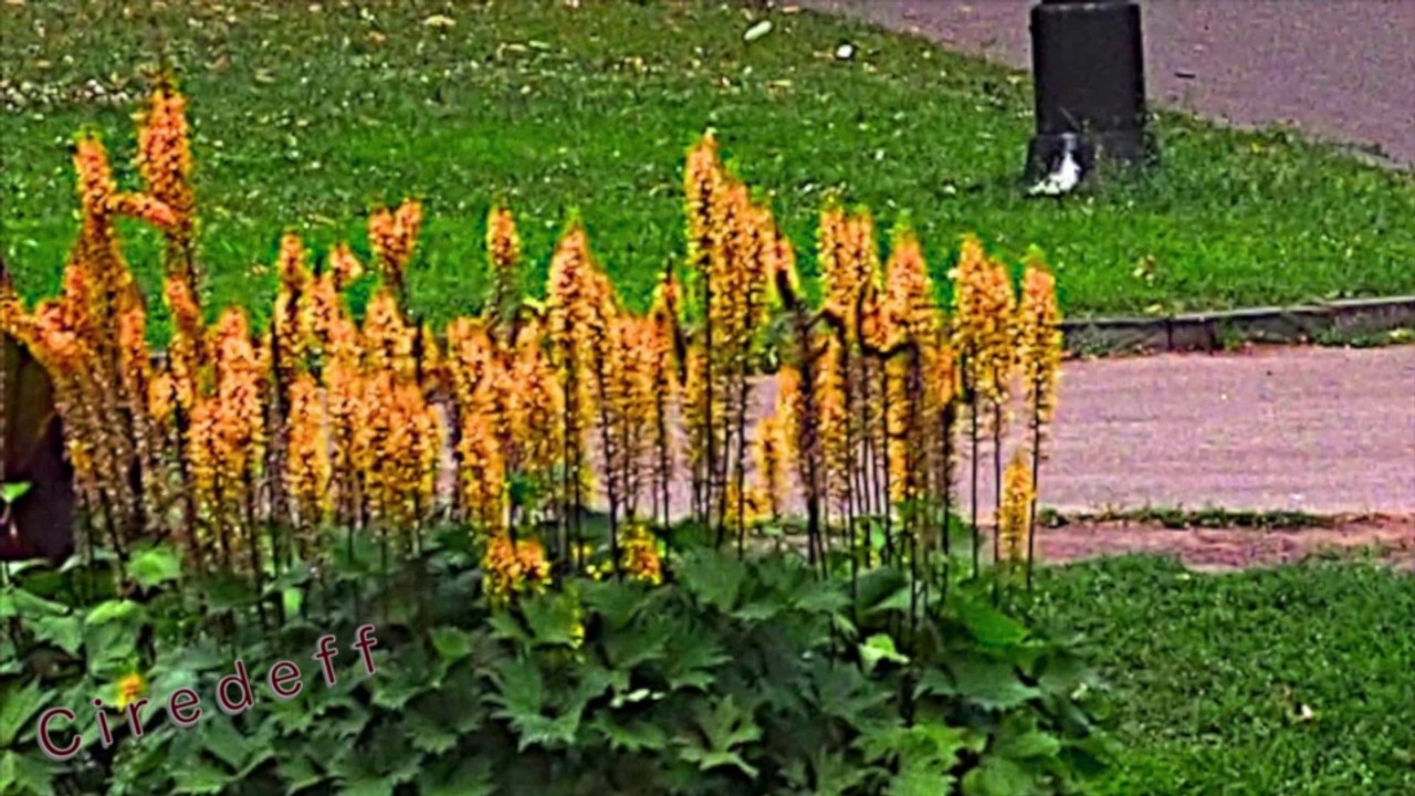 7/13 Tourisme en Lettonie Visitez Rīga Le centre historique -- Tourism in Latvia Visit Riga The historic center