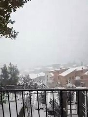 MeteoReporter Altofonte 31/12/2014