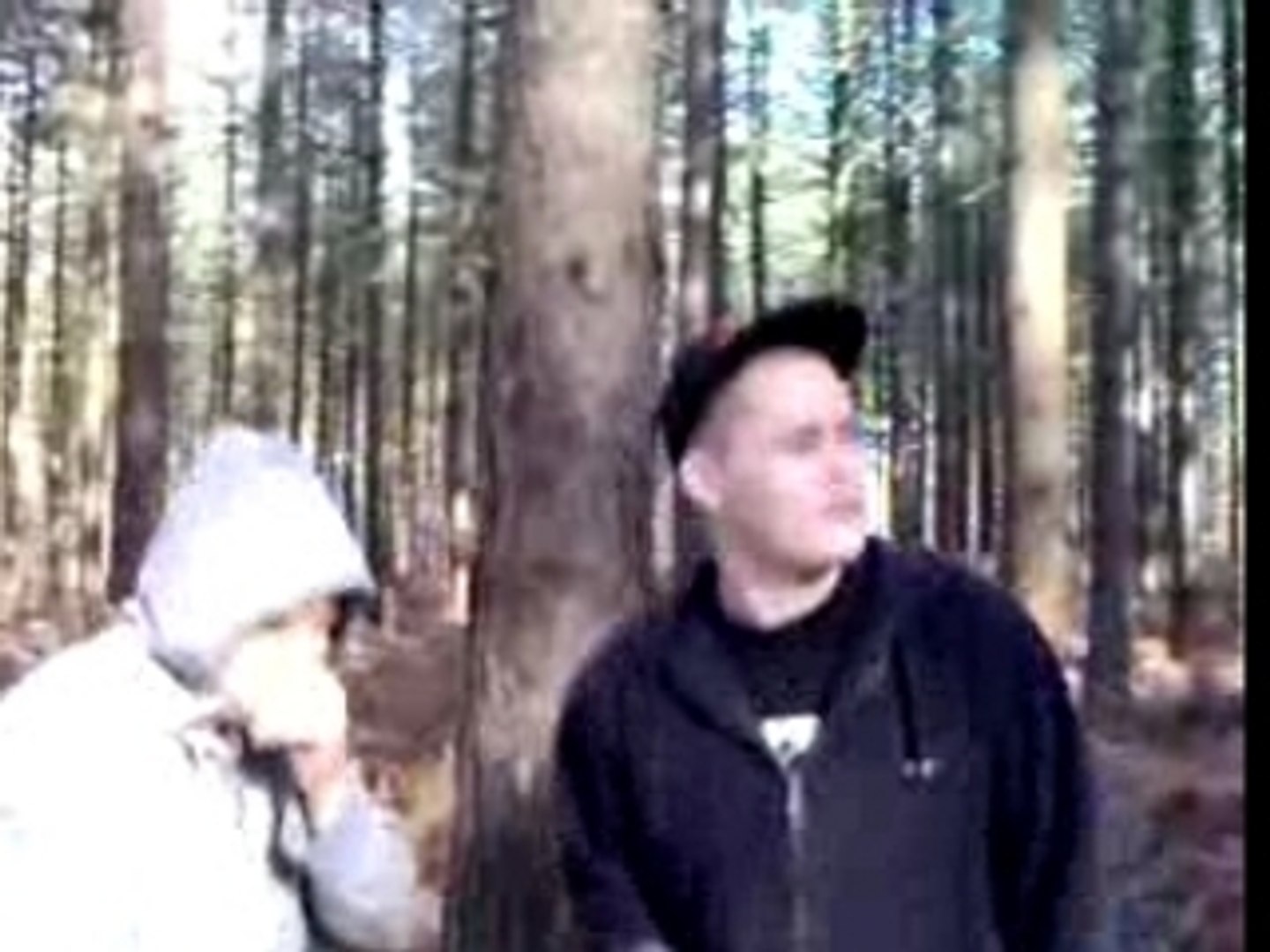 Forest ryhme