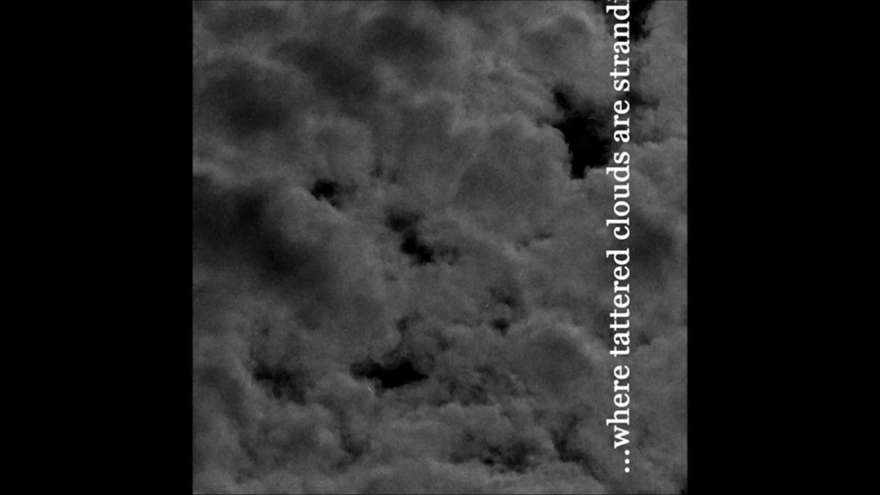 Rose Rovine e Amanti - Violini E Rose