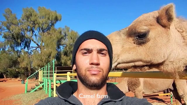 Selfie Time Lapse Documents Memorable Gap Year